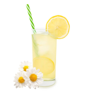 Limonada iz kamilice