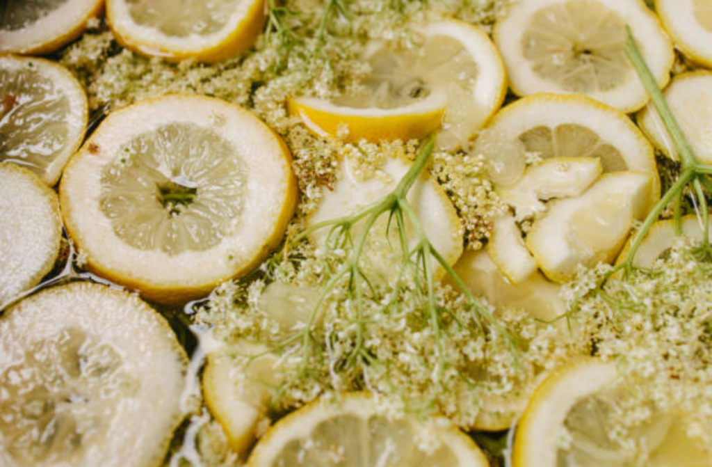 Cvetovi bezga in limona v vodi