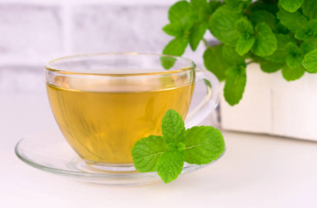 Skodelica melisinega čaja iz listov melise (Melissa officinalis)