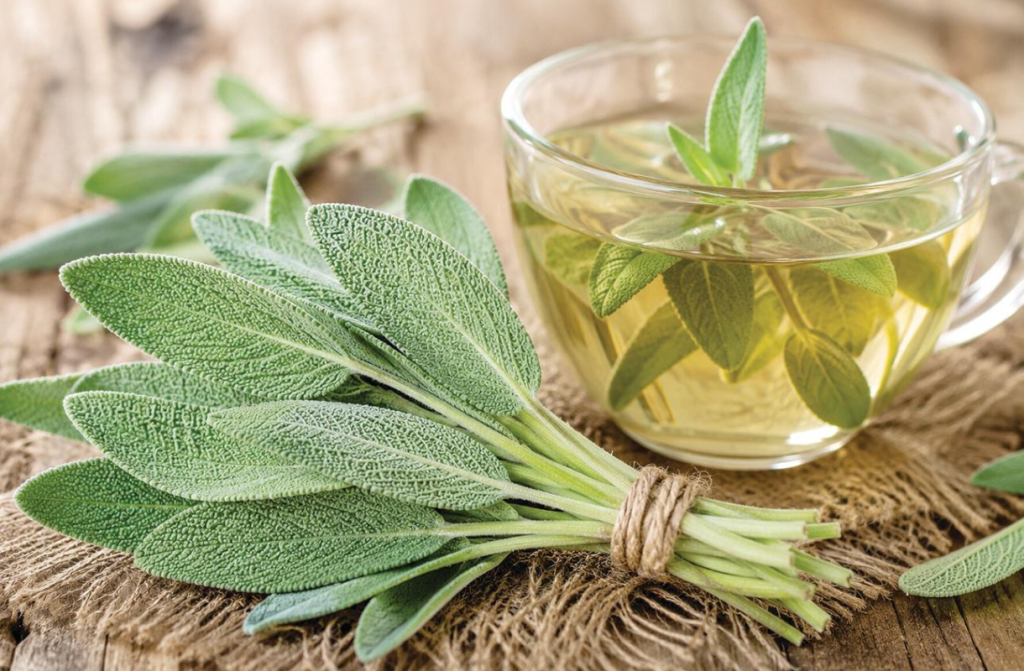 skodelica zeliščnega čaja z listi žajblja (salvia officinalis)