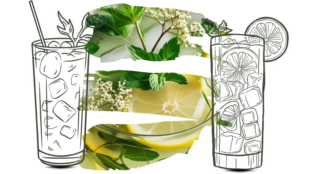 Poletna zelišča v Sloveniji– priprava osvežilnega čaja