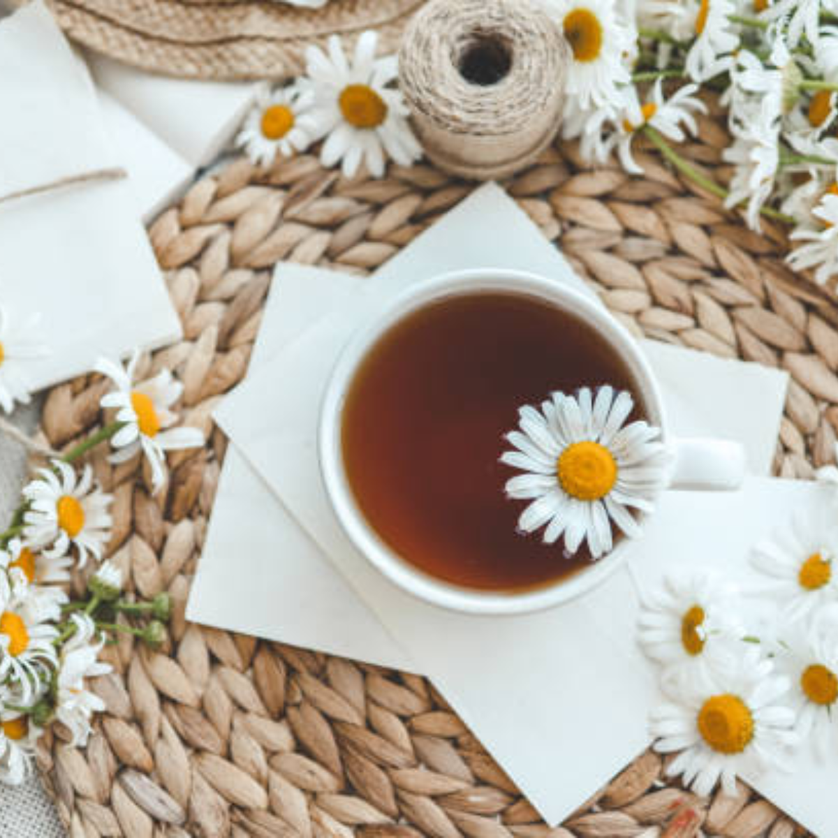 Skodelica kamiličnega čaja s cvetovi kamilice na naravnem ozadju – Zelišča Marjetka