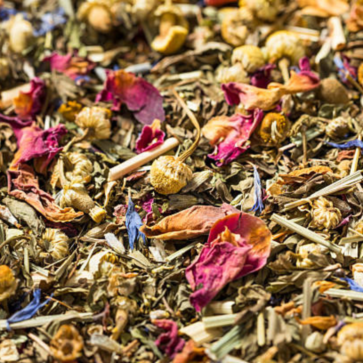 Raztresena naravna zeliščna čajna mešanica s svežimi listi in cvetovi