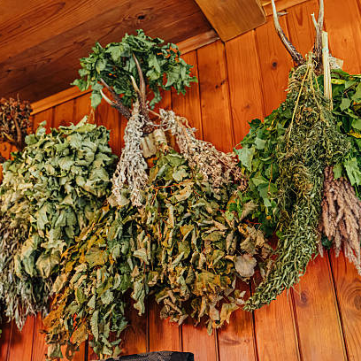 Zelišča, ki se sušijo na podstrešju – tradicionalni način shranjevanja zelišč